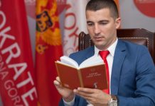 BEČIĆ JE PLAGIJATOR