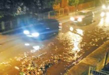 Fekalije u centru Rožaja