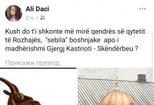 Ali Daci bi spomenik Skenderbegu na trgu u Rožajama