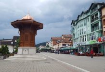 Bijela kuga hara Crnom Gorom