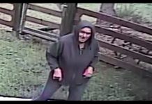 Žena specijalac za krađu po vikendicama u Rožajama