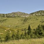duko-markovi—obilazak-lokaliteta-na-kojem-e-se-graditi-ski-centar-tedim–hajla_48169139571_o