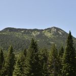 duko-markovi—obilazak-lokaliteta-na-kojem-e-se-graditi-ski-centar-tedim–hajla_48169216192_o