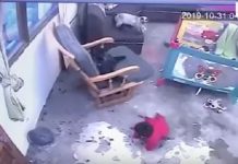 Mačka spasila bebu (VIDEO)