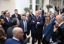 Predsjednik u Draču