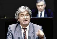 Nikolaidis: Andrija Mandić kao Radovan Karadžić