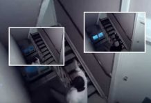 Snimila komšinicu kako joj baca sihr (crna magija)