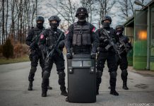 Stefanović: Na ulice izvesti policiju, žandarmeriju i specijalne jedinice