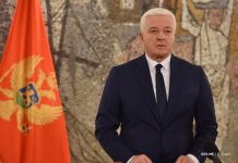 Marković: Izjava velikosrpskog istoričara Rakovića je skandalozna