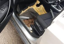 Na Dračenovcu zaplijenjeno 45 kg marihuane