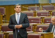 Ibrahimović: Najava brisanja iz biračkog spiska naših građana koji su u dijaspori, osveta aktuelne vlasti za referendum