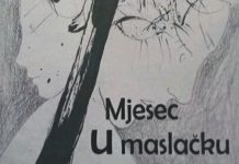 ČAMPAROVA KNJIGA PRIČA