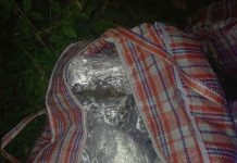 Kod Rožaja pronađeno 120kg marihuane