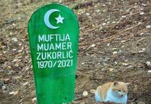 Mačak rahmetli muftije Zukorlića ne ide od njegovog groba ni po najvećoj kiši