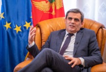 Ibrahimović: Imamo jasne razloge za ostanak u Vladi