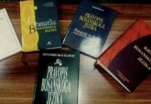 „Bošnjaci da kažu da im je maternji bosanski jezik“