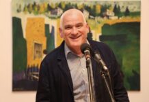 Aldemar Ibrahimović poetika urbanog