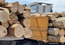 Rožajcima zbog prijava mještana Baća i Seošnice obustavljena dodjela odluka za ogrijev