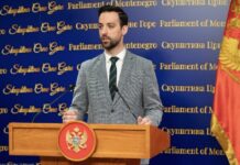 Zirojević stavlja u proceduru rezoluciju Pokreta solidarnosti sa Palestinom