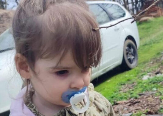 Vučić objavio: Mala Danka je ubijena