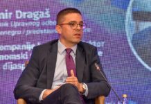 Bulatović: Dijaspora igra ključnu ulogu u investiranju i privlačenju investicija u Crnu Goru