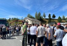 SEP:Uprava za šume da poništi štetan javni poziv i ne dopusti zatvaranje preduzeća na Sjeveru