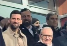 Ibrahimović i Đoković bodrili Zmajeve