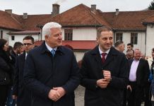 SEP i Evropski savez formiraju novu političku platformu