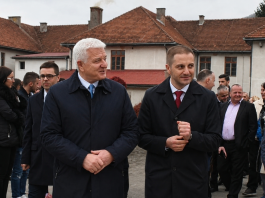 SEP i Evropski savez formiraju novu političku platformu