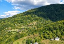 Turcizmi- govor starih Veličana
