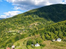 Turcizmi- govor starih Veličana