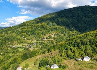 Turcizmi- govor starih Veličana