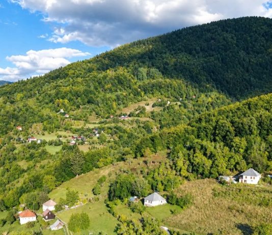 Turcizmi- govor starih Veličana